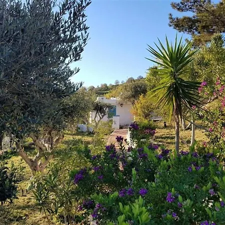 Apartment Castle Vigla Studio Leros Vromolithos